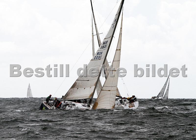 ORCi 214.jpg